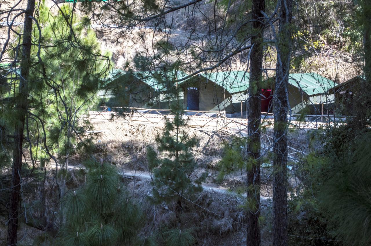 Jungle Stays Chail Exterior foto